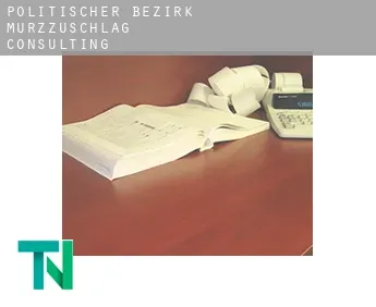 Politischer Bezirk Mürzzuschlag  Consulting