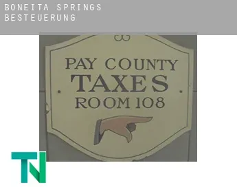Boneita Springs  Besteuerung
