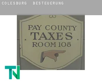 Colesburg  Besteuerung