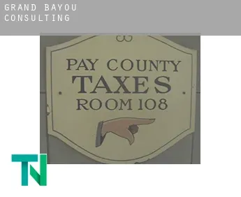 Grand Bayou  Consulting