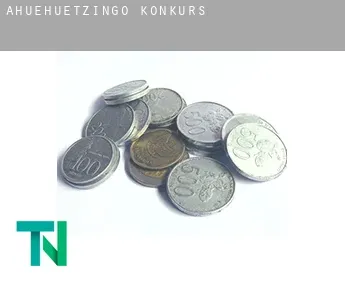 Ahuehuetzingo  Konkurs