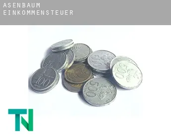 Asenbaum  Einkommensteuer