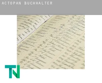 Actopan  Buchhalter