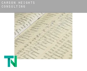 Carson Heights  Consulting