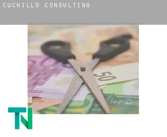 Cuchillo  Consulting