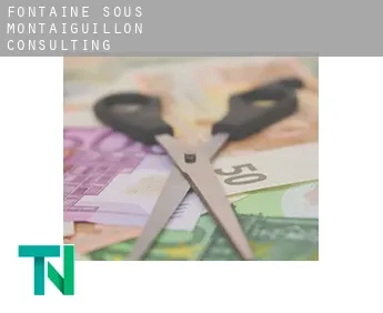 Fontaine-sous-Montaiguillon  Consulting