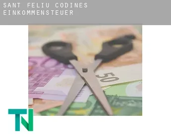 Sant Feliu de Codines  Einkommensteuer
