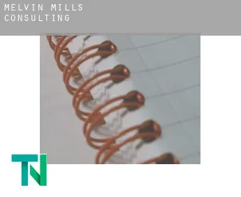 Melvin Mills  Consulting