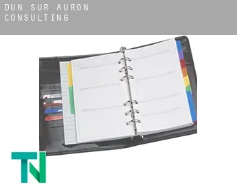 Dun-sur-Auron  Consulting