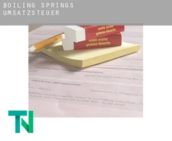 Boiling Springs  Umsatzsteuer
