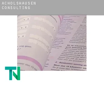 Acholshausen  Consulting