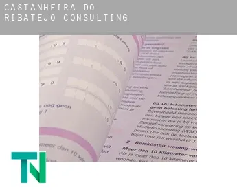 Castanheira do Ribatejo  Consulting