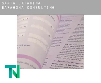 Santa Catarina Barahona  Consulting