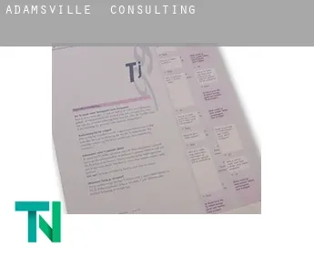 Adamsville  Consulting