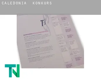 Caledonia  Konkurs