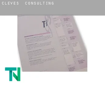 Cleves  Consulting