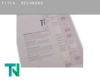 Fitch  Rechnung