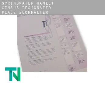 Springwater Hamlet  Buchhalter