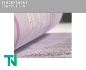 Biedersberg  Consulting