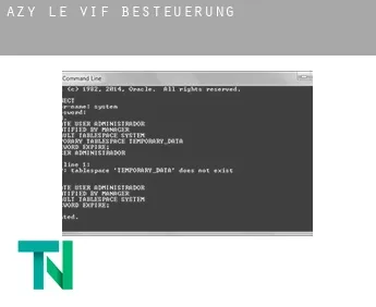 Azy-le-Vif  Besteuerung