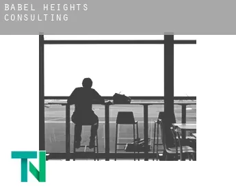 Babel Heights  Consulting