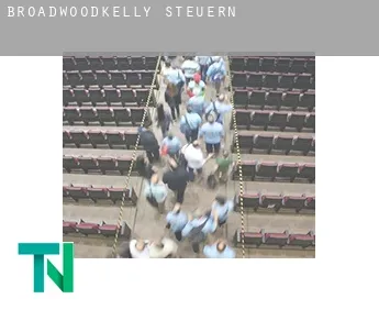 Broadwoodkelly  Steuern