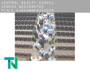 Central Wesley Chapel  Einkommensteuer