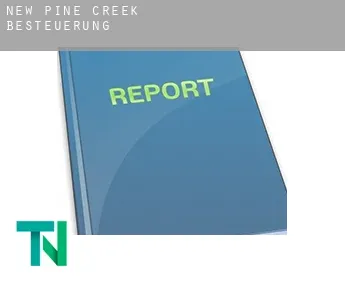 New Pine Creek  Besteuerung