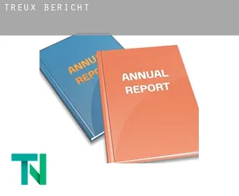 Treux  Bericht