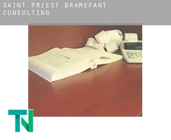 Saint-Priest-Bramefant  Consulting